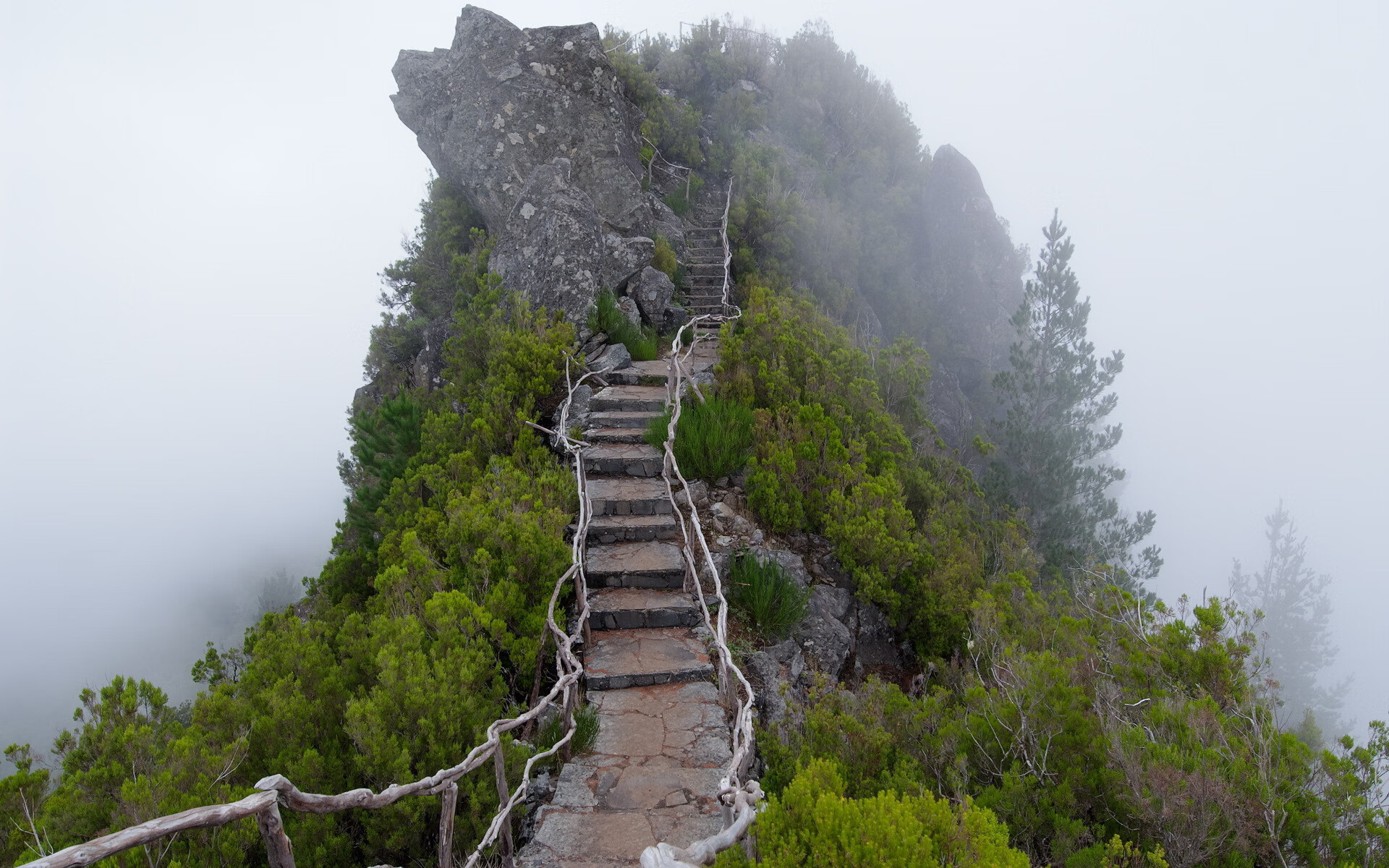 世界登山赛安全措施进一步加强，2020登山大赛
